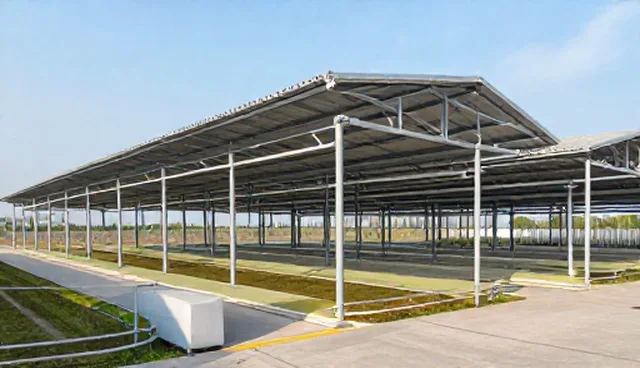 技术转让选型关注点及维护建议